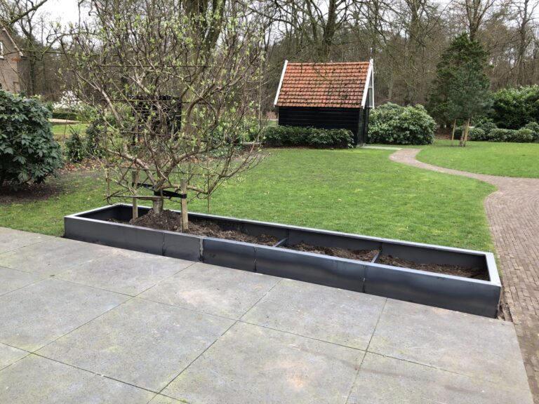 Border om de boom gemaakt na