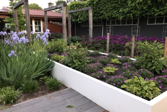 Grote witte border gepoedercoat