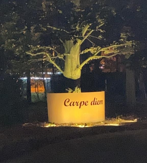 Wand CorTenstaal Carpe diem