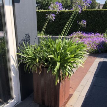 grote bloembakken voor buiten steel garden