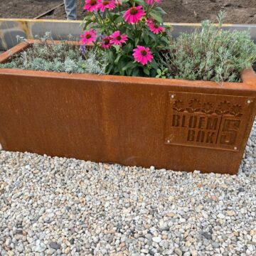 plantenbak van cortenstaal beplanting